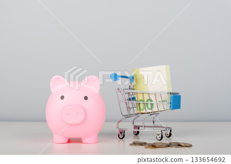 A pink piggy bank and a miniature shopping cart filled with money. A pink piggy bank and a miniature shopping cart filled with money. 133654692