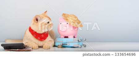 Burmese cat with calculator, piggy bank and toy suitcase on minimalist background 133654696
