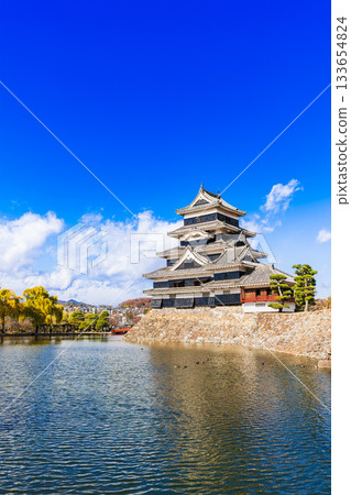 國寶松本城秋景 133654824