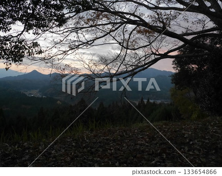 從宇多松山城遺址眺望景色與枯樹 從宇多松山城遺址眺望景色與枯樹 133654866