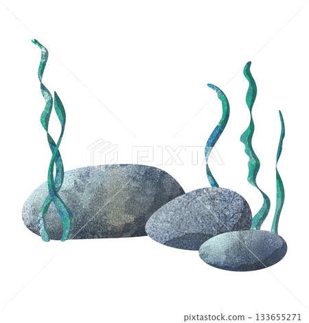 Cute watercolor illustration of underwater stones with swaying green seaweed. Perfect for children's books, educational materials, ocean themes, stickers, and nursery decor. Simple, whimsical style Cute watercolor illustration of underwater stones with swaying green seaweed. Perfect for children's books, educational materials, ocean themes, stickers, and nursery decor. Simple, whimsical style 133655271