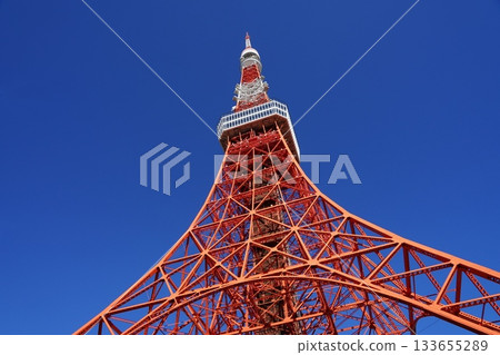 從下方看到的東京鐵塔和神光院 11月 港區 2283 白天的東京鐵塔和神光院 從下方看到的東京鐵塔和神光院 11月 港區 2283 白天的東京鐵塔和神光院 133655289