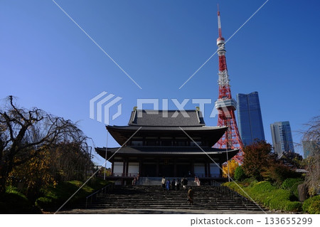 在藍天的襯托下，東京塔巍然聳立，增上寺顯得格外莊嚴。 11月，港區2293號，白天的東京塔和增上寺。 133655299