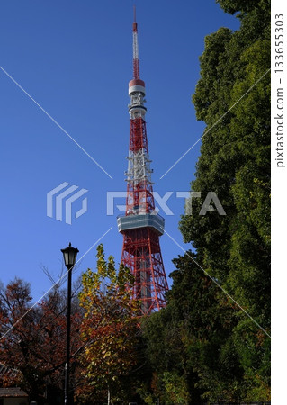 白天從增上寺旁的道路看到的東京鐵塔。 11月，港區2297年。白天從增上寺旁的道路看到的東京鐵塔。 133655303