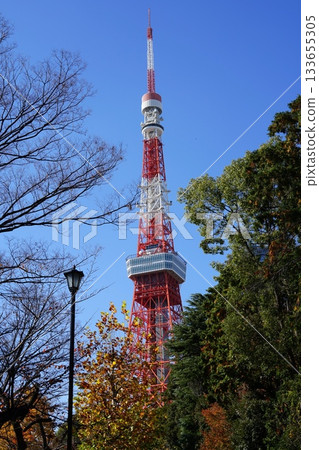 白天從增上寺旁的道路上看到的東京鐵塔。 11月，港區2299年。白天從增上寺旁的道路上看到的東京鐵塔。 133655305