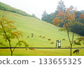 Scenery of Mount Wakakusa in Nara (after the rain) Herd of deer 133655325