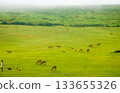 Scenery of Mount Wakakusa in Nara (after the rain) Herd of deer 133655326