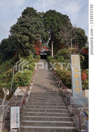 Autumn leaves at Daikozenji Temple in Kiyama Town, Saga Prefecture Autumn leaves at Daikozenji Temple in Kiyama Town, Saga Prefecture 133655556