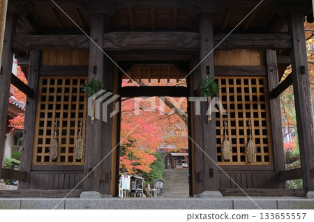 佐賀縣木山町大光禪寺的秋葉 佐賀縣木山町大光禪寺的秋葉 133655557