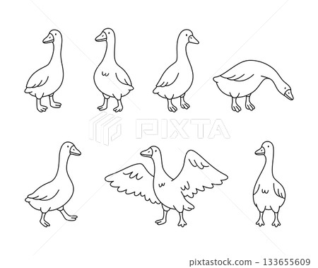 Set of cartoon geese in walking, standing, and pecking positions Set of cartoon geese in walking, standing, and pecking positions 133655609