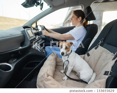 Caucasian woman travels by car with her dog. Jack Russell Terrier in a special car seat. Caucasian woman travels by car with her dog. Jack Russell Terrier in a special car seat. 133655629