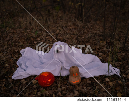 Jack Russell Terrier dog in a ghost costume for Halloween in the woods. Jack Russell Terrier dog in a ghost costume for Halloween in the woods. 133655644
