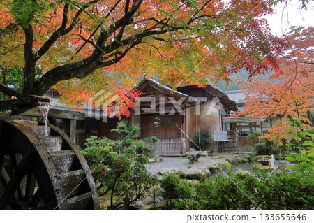 Autumn leaves at Daikozenji Temple in Kiyama Town, Saga Prefecture Autumn leaves at Daikozenji Temple in Kiyama Town, Saga Prefecture 133655646