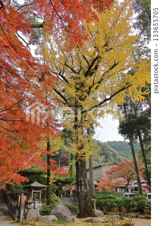 Autumn leaves at Daikozenji Temple in Kiyama Town, Saga Prefecture 133655705