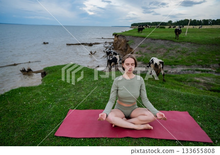 Caucasian woman doing yoga on the river bank among a herd of cows.  133655808