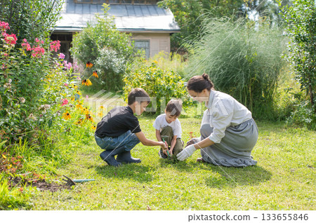 Caucasian woman tending her garden with her sons.  133655846