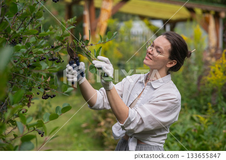 Young Caucasian woman trimming bushes. Young Caucasian woman trimming bushes. 133655847