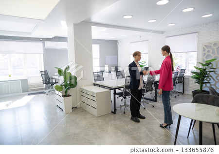 Caucasian man and woman greeting and shaking hands in office. Caucasian man and woman greeting and shaking hands in office. 133655876