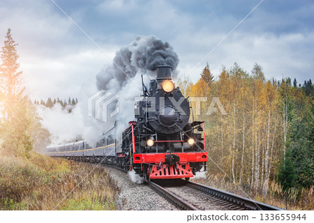 Steam retro train moves in the autumn forest at sunrise. Steam retro train moves in the autumn forest at sunrise. 133655944