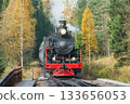 Steam retro train moves in the autumn forest. 133656053
