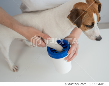 The owner washes the dog's paws in a special device.  133656059