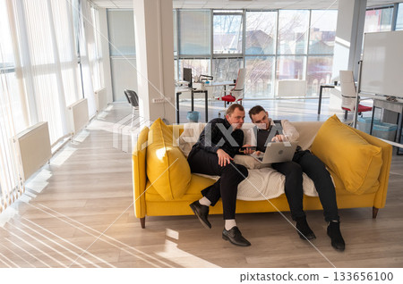 Two Caucasian men discussing work on a laptop while sitting on a sofa. Modern office.  133656100