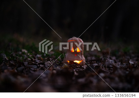 Jack o'Latern Halloween in the Woods. Halloween Decoration. Jack o'Latern Halloween in the Woods. Halloween Decoration. 133656194
