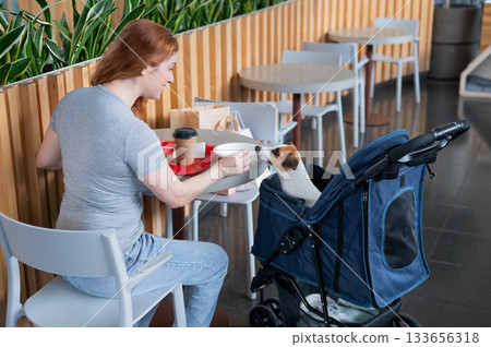 Caucasian woman having lunch in a cafe with her Jack Russell terrier dog in a stroller.  133656318
