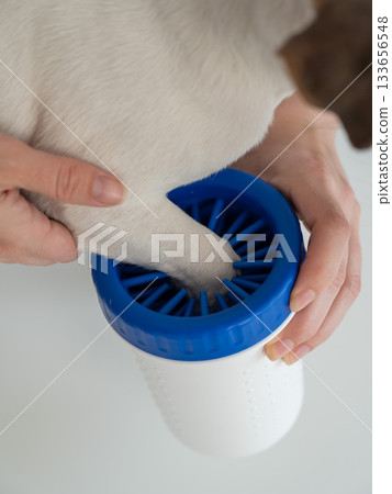The owner washes the dog's paws in a special device. The owner washes the dog's paws in a special device. 133656548