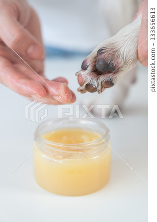 The owner puts wax on the dog's paws. The owner puts wax on the dog's paws. 133656613