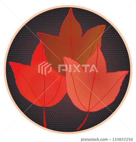 Illustration of a maple leaf in autumn color with a circular background Illustration of a maple leaf in autumn color with a circular background 133657250