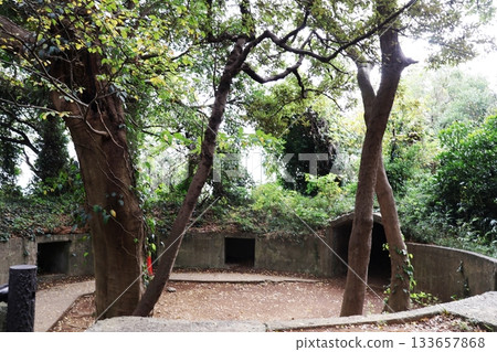 橫須賀海岸附近一座無人居住的島嶼-猿島上,曾是日本軍事要塞的遺址。 橫須賀海岸附近一座無人居住的島嶼-猿島上,曾是日本軍事要塞的遺址。 133657868
