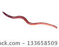 Stretched earthworm Stretched earthworm 133658509