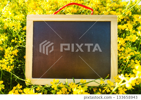 Blank black board against flowers 133658943