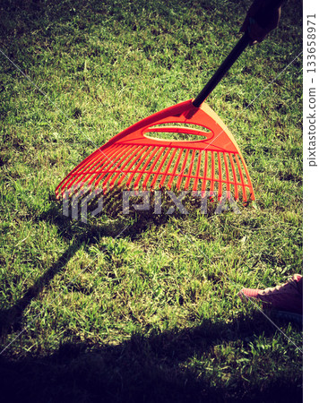 Orange rake on stick collecting grass, garden tools 133658971