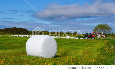 Bale of hay wrapped in plastic foil, Norway Bale of hay wrapped in plastic foil, Norway 133659422