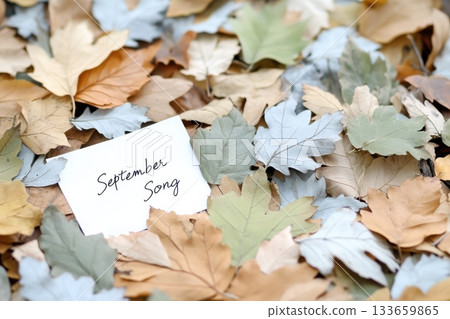 Vibrant autumn leaves scattered on the ground with a handwritten note titled September Song inviting reflection and nostalgia in a serene outdoor setting 133659865