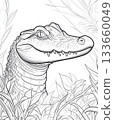 Alligator line drawing in nature, detailed reptile illustration in plants 133660049