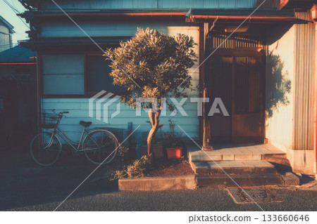 Bicycle tree street house sunlight shadow quiet urban exterior peaceful early morning residential vintage architecture entrance door window potted plant outdoor calm neighborhood solitude empty 133660646