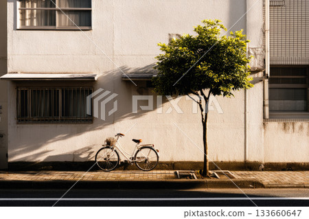 Bicycle parked beside small tree on quiet urban street, warm sunlight casting shadows on white building wall, peaceful morning atmosphere, empty sidewalk, residential area 133660647