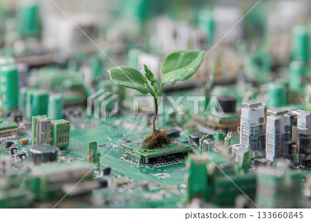 Small plant sprouting from circuit board, symbolizing green technology, sustainability, innovation, eco friendly electronics, and environmental growth in tech industry 133660845