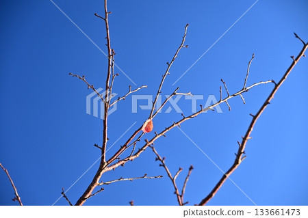 冬天圖片 冬天圖片 133661473