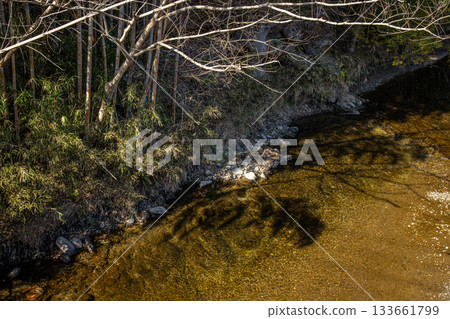 冬日陽光照耀下，茨城縣清澈的溪流和寧靜的河岸風光盡收眼底。 133661799