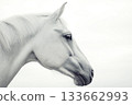 A side profile of a white horse with a soft mane, captured against a minimalistic white background 133662993