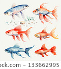 Six watercolor fish in soft and bold colors swimming in pairs, each with unique fins and tails 133662995