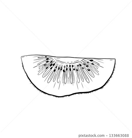 Colorful sketch of kiwi slice against plain backdrop for recipes 133663088