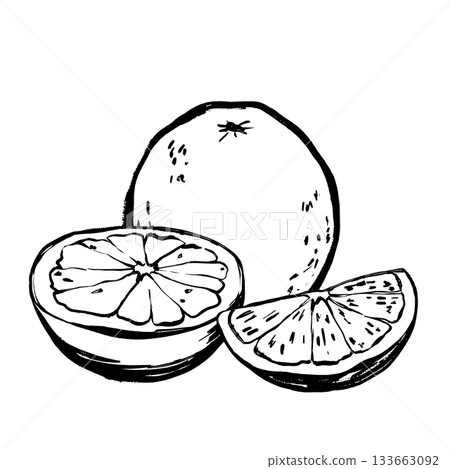 Detailed artistic rendering of fresh juicy orange segments and skins 133663092