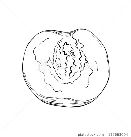 Soft textured peach halved with exposed seed cavity on plain background Soft textured peach halved with exposed seed cavity on plain background 133663094