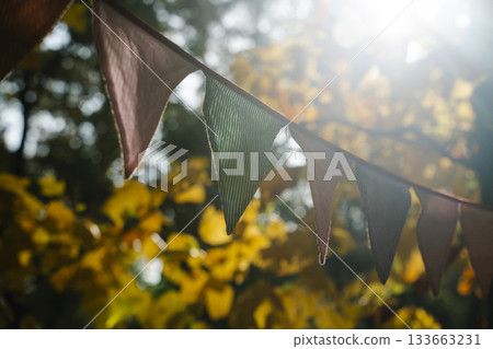 Autumn Celebration Flags on a Sunny October Day 133663231