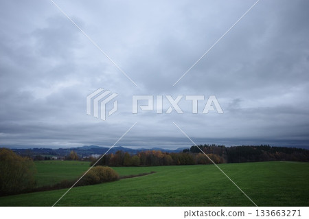 Cloudy Autumn Landscape with Green Fields and Forest 133663271